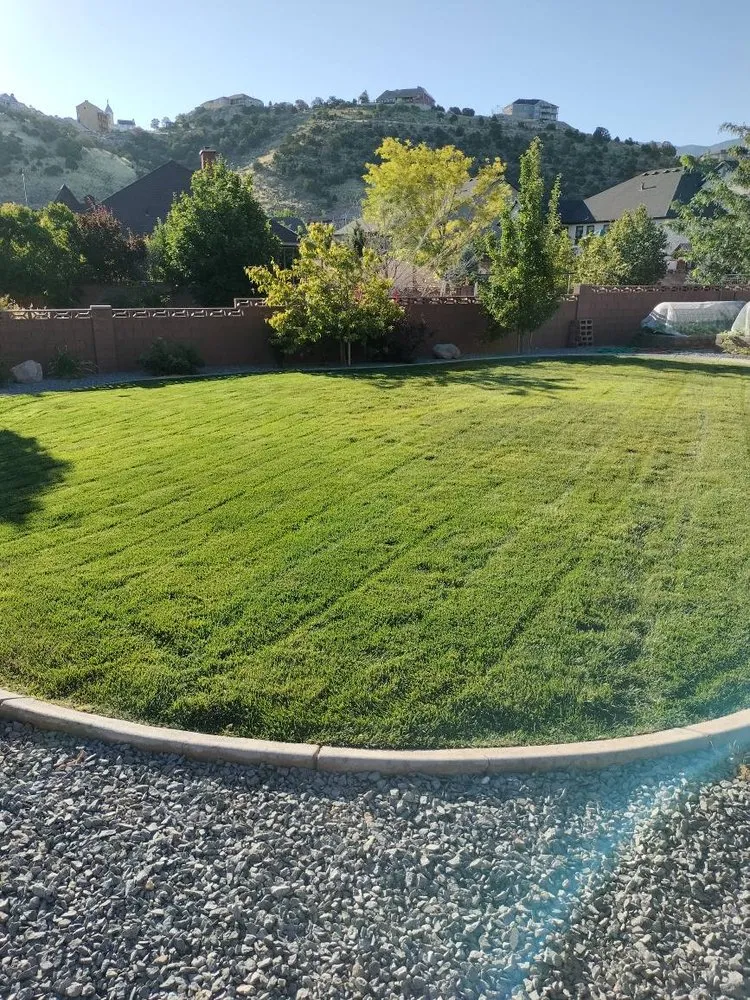 Top-rated yard maintenance with custom design in Cedar City, UT by All Pro Landscaping