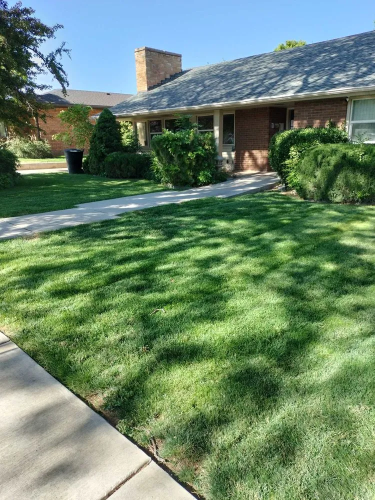 Reliable yard cleanup service in Cedar City, UT - All Pro Landscaping