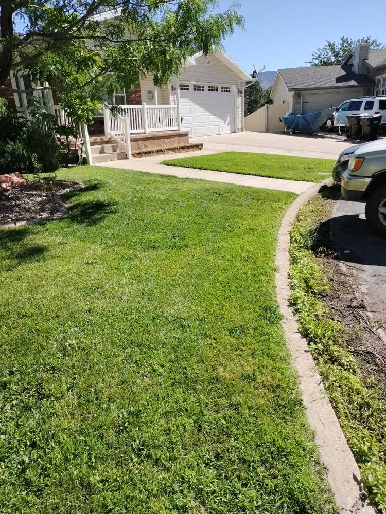 Professional landscape installation in Cedar City, UT by All Pro Landscaping
