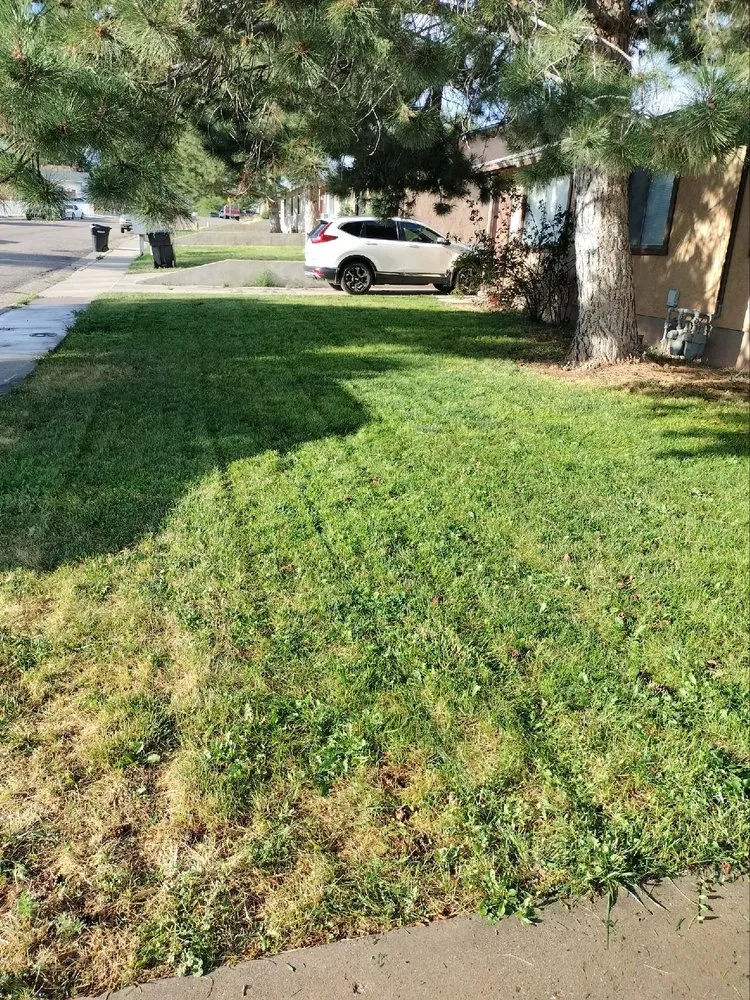 Professional outdoor landscaping in Cedar City, UT - All Pro Landscaping