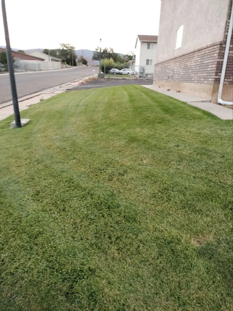Affordable yard cleanup service in Cedar City, UT - All Pro Landscaping