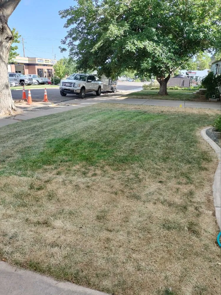 Reliable yard cleanup service with custom design in Cedar City, UT by All Pro Landscaping