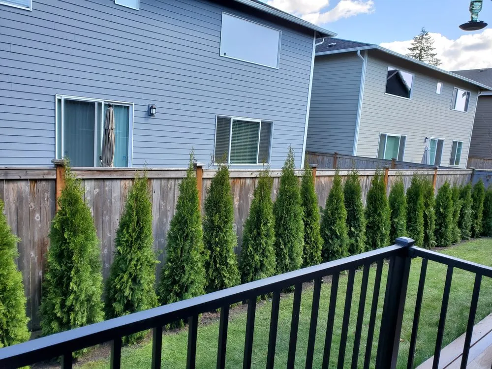 Reliable landscaping services in Lynnwood, WA by All Pro Landscaping Construction