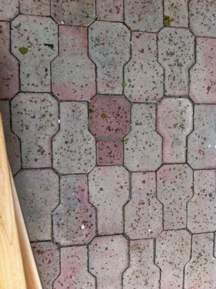 Local yard cleanup service for homes in Lynnwood, WA by All Pro Landscaping Construction