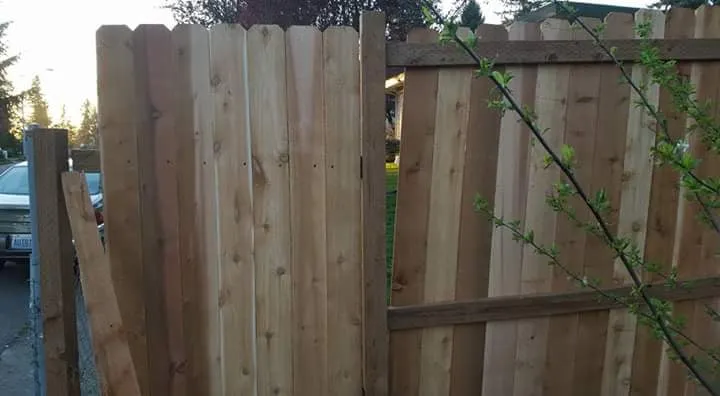 Expert yard maintenance for beautiful yards in Lynnwood, WA by All Pro Landscaping Construction