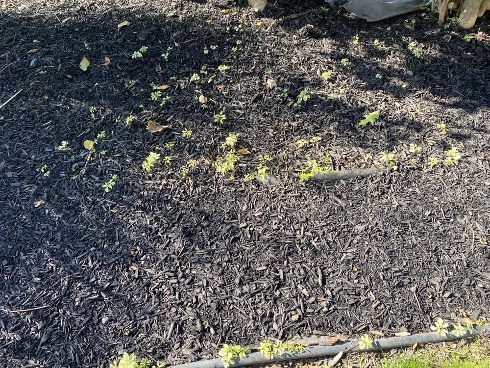 Reliable residential landscaping in Rochester, NY - All Pro Landscaping Rochester NY