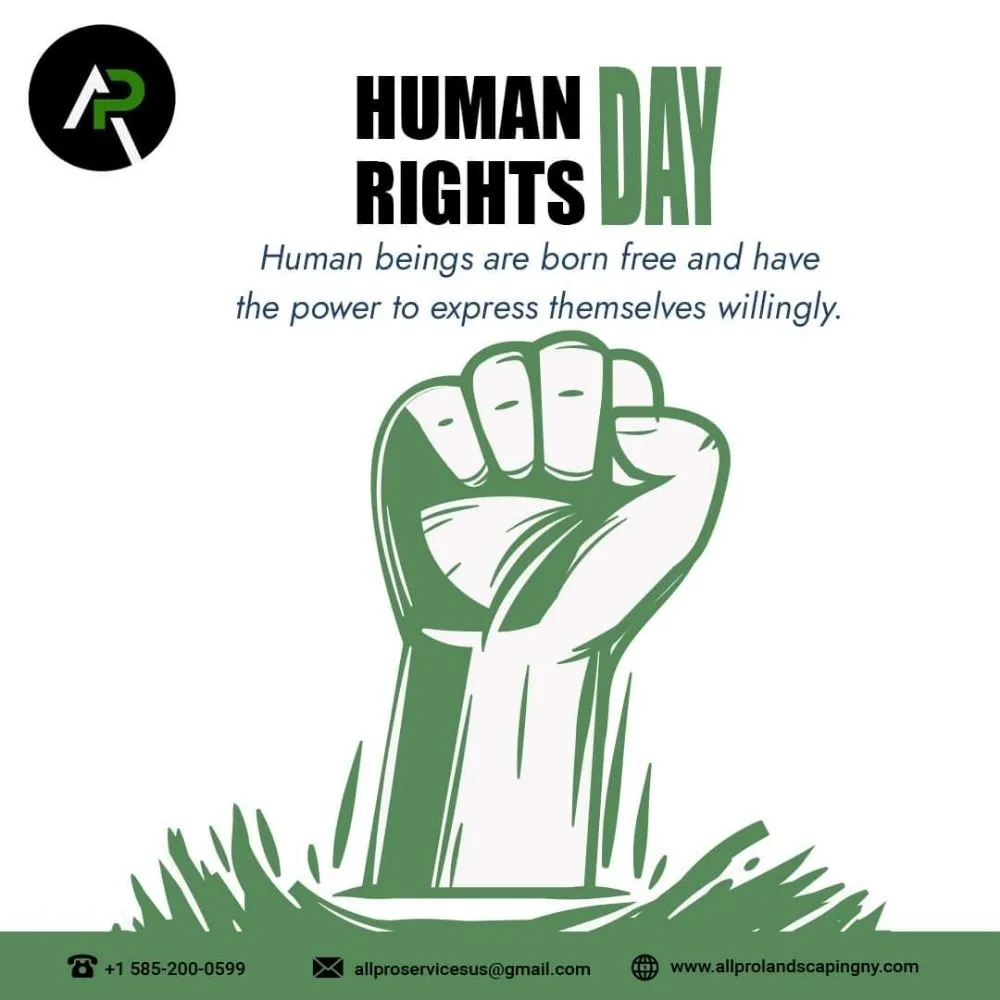 Custom landscaping services in Rochester, NY by All Pro Landscaping Rochester NY