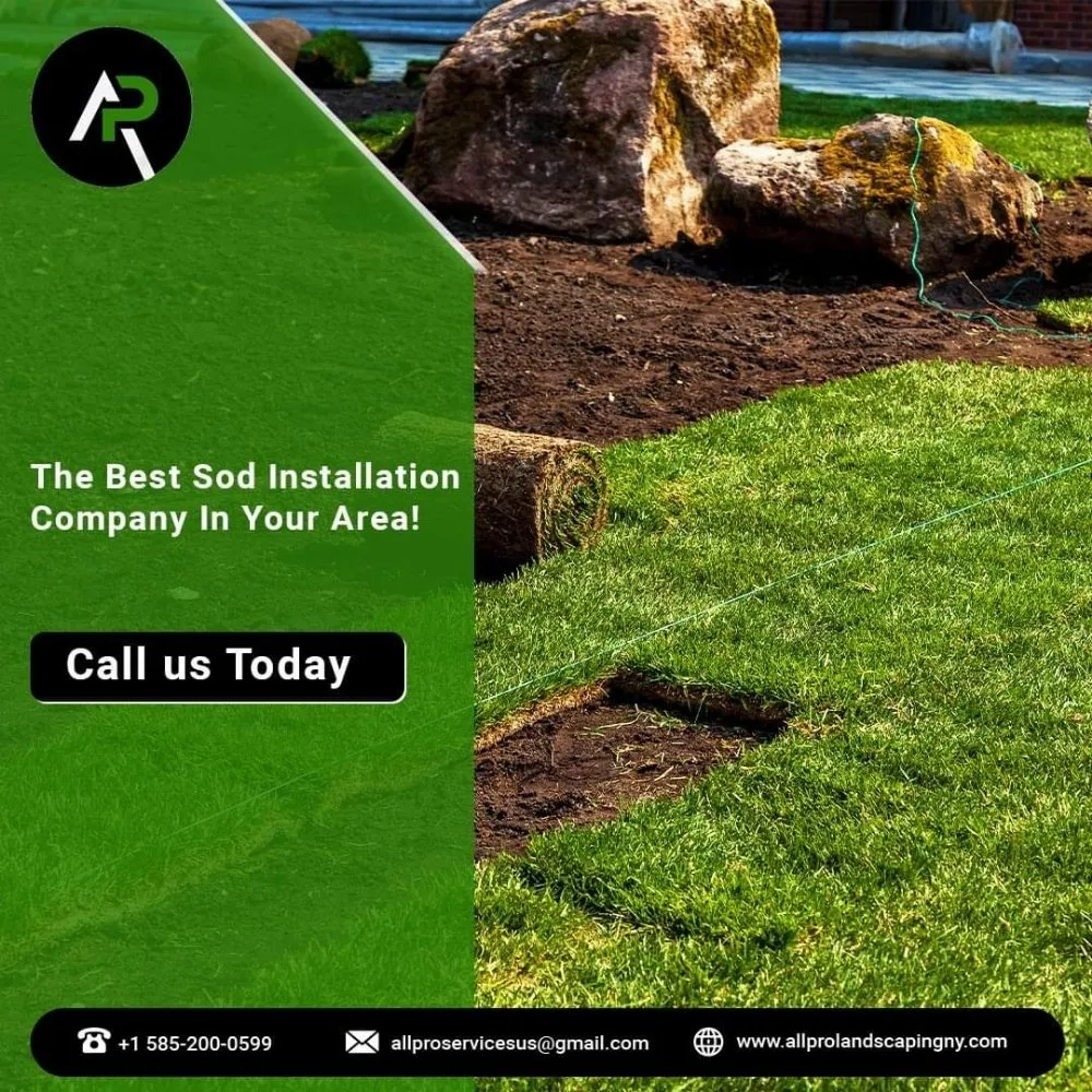 Top-rated outdoor landscaping in Rochester, NY - All Pro Landscaping Rochester NY