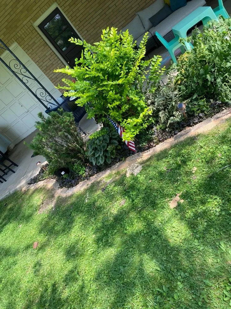 Affordable yard cleanup service experts serving Rochester, NY - All Pro Landscaping Rochester NY