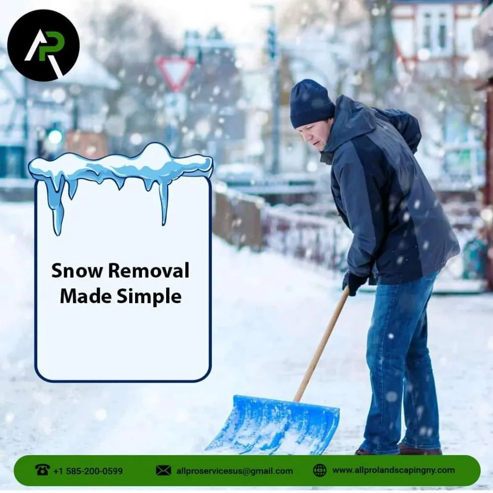 Professional landscape design experts serving Rochester, NY - All Pro Landscaping Rochester NY