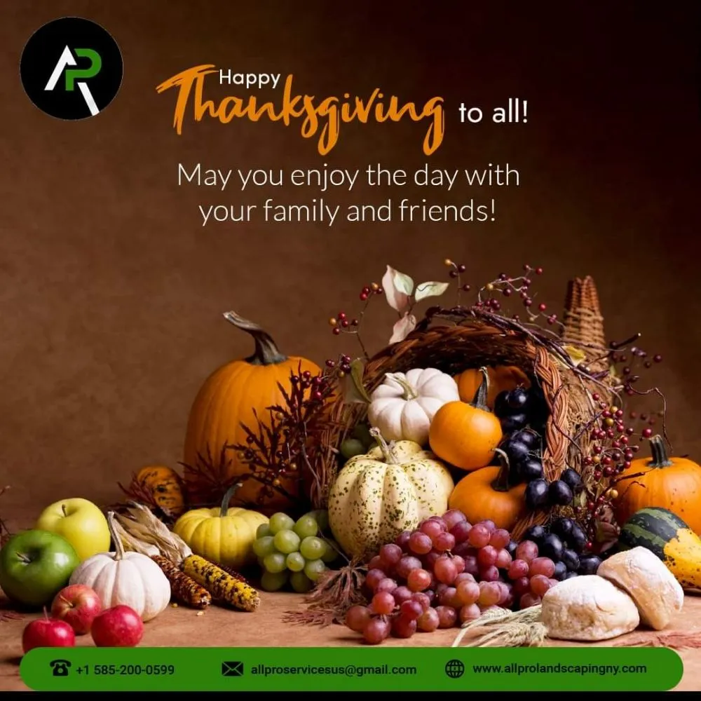 Top-rated yard cleanup service for outdoor upgrades in Rochester, NY by All Pro Landscaping Rochester NY