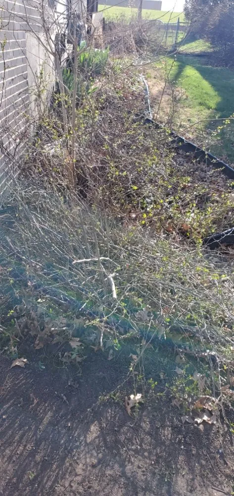 Custom yard maintenance with custom design in Lincoln, NE by All Pro Lawn & Snow