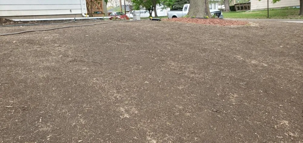 Professional yard cleanup service in Lincoln, NE by All Pro Lawn & Snow