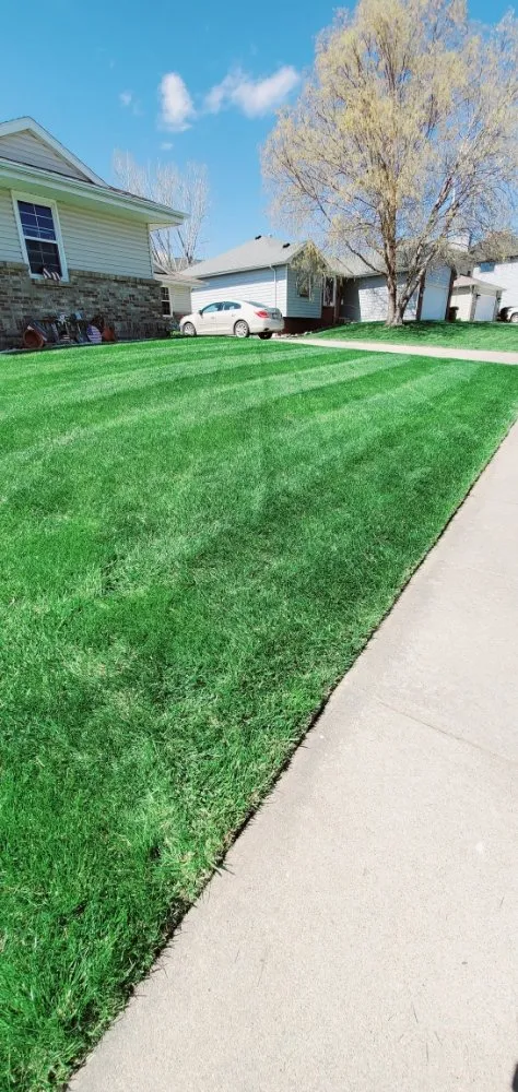 Trusted yard maintenance experts serving Lincoln, NE - All Pro Lawn & Snow