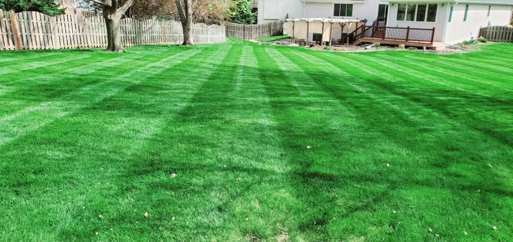 Affordable yard maintenance in Lincoln, NE - All Pro Lawn & Snow