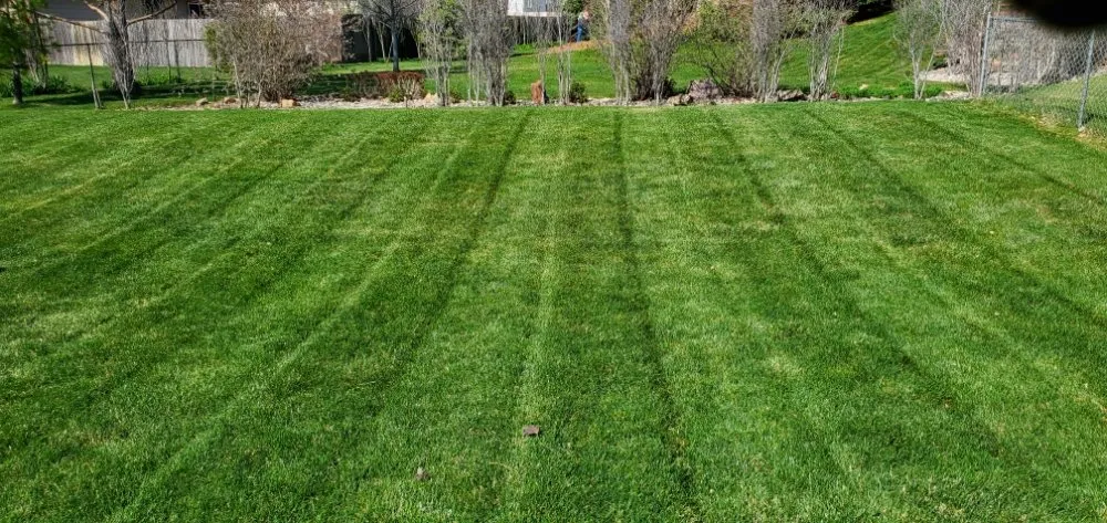 Expert landscaping services in Lincoln, NE by All Pro Lawn & Snow