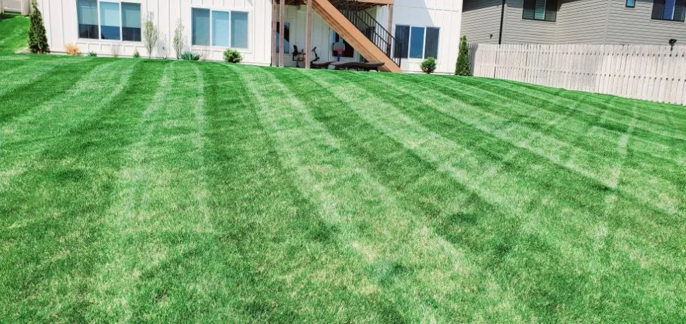 Expert yard cleanup service in Lincoln, NE - All Pro Lawn & Snow