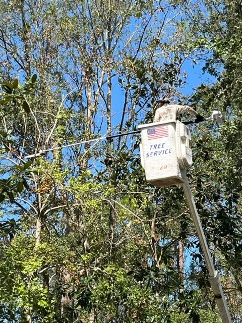 Local landscape installation in Gainesville, FL by All Pro Lawn & Tree Service