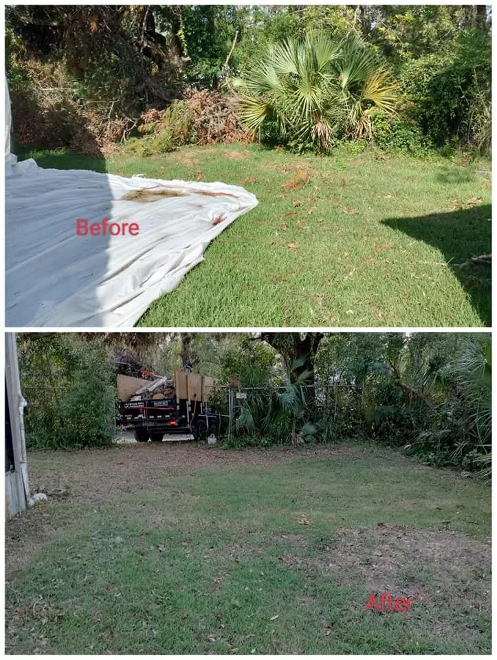 Top-rated residential landscaping in Gainesville, FL - All Pro Lawn & Tree Service
