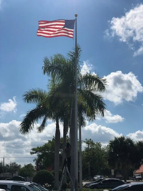 Reliable garden landscaping in Gainesville, FL by All Pro Lawn & Tree Service