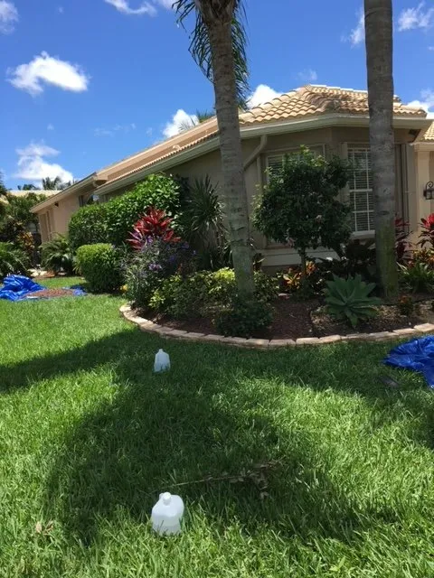 Top-rated landscape design for homes across Gainesville, FL - All Pro Lawn & Tree Service