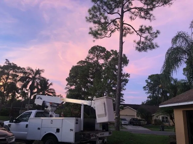 Custom outdoor landscaping near you across Gainesville, FL - All Pro Lawn & Tree Service