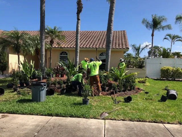 Professional lawn care service in Gainesville, FL by All Pro Lawn & Tree Service