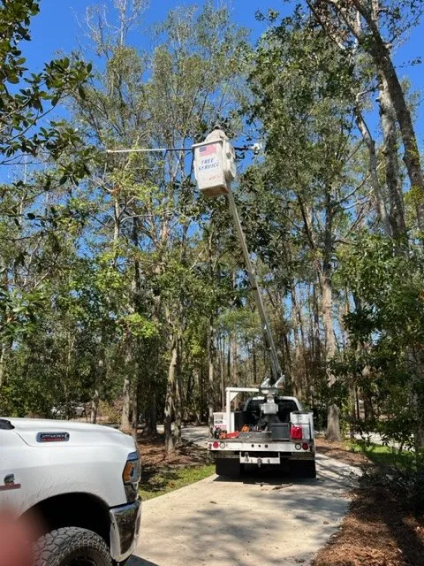 Affordable landscape design in Gainesville, FL by All Pro Lawn & Tree Service