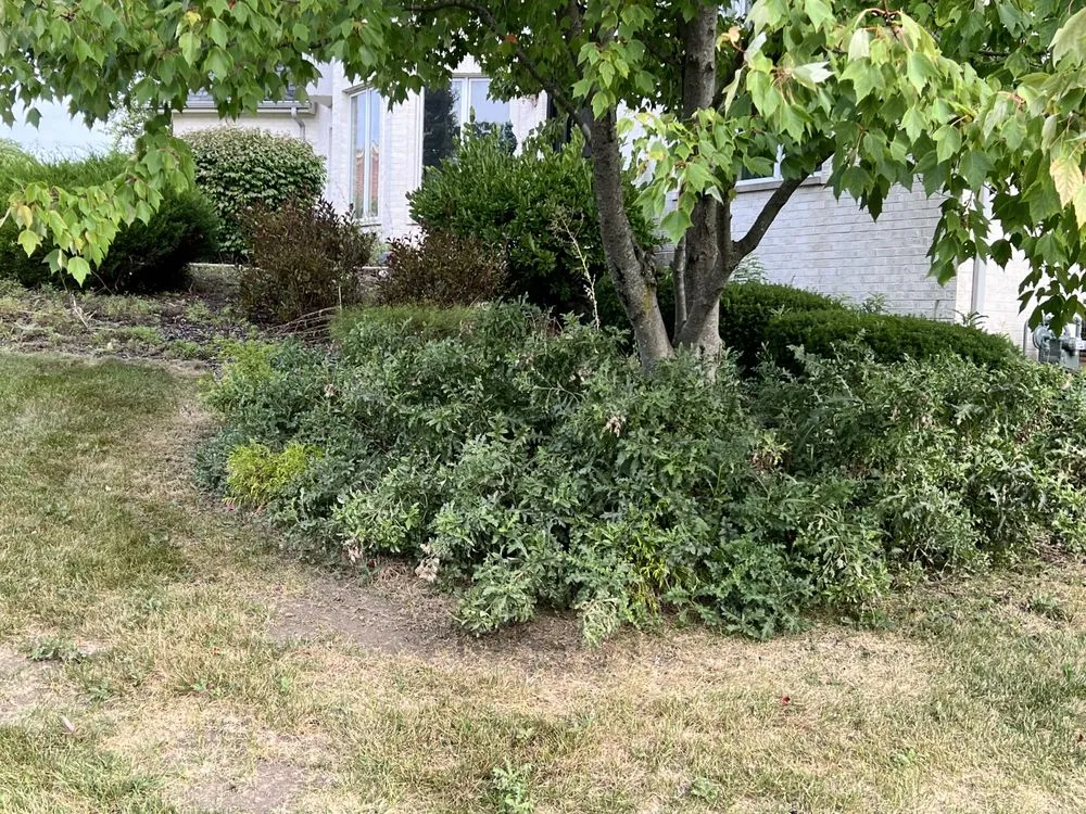 Expert landscape installation with custom design across Monee, IL - All Pro Lawn and Landscape