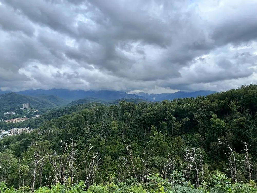 Local landscape design for beautiful yards in Monee, IL by All Pro Lawn and Landscape