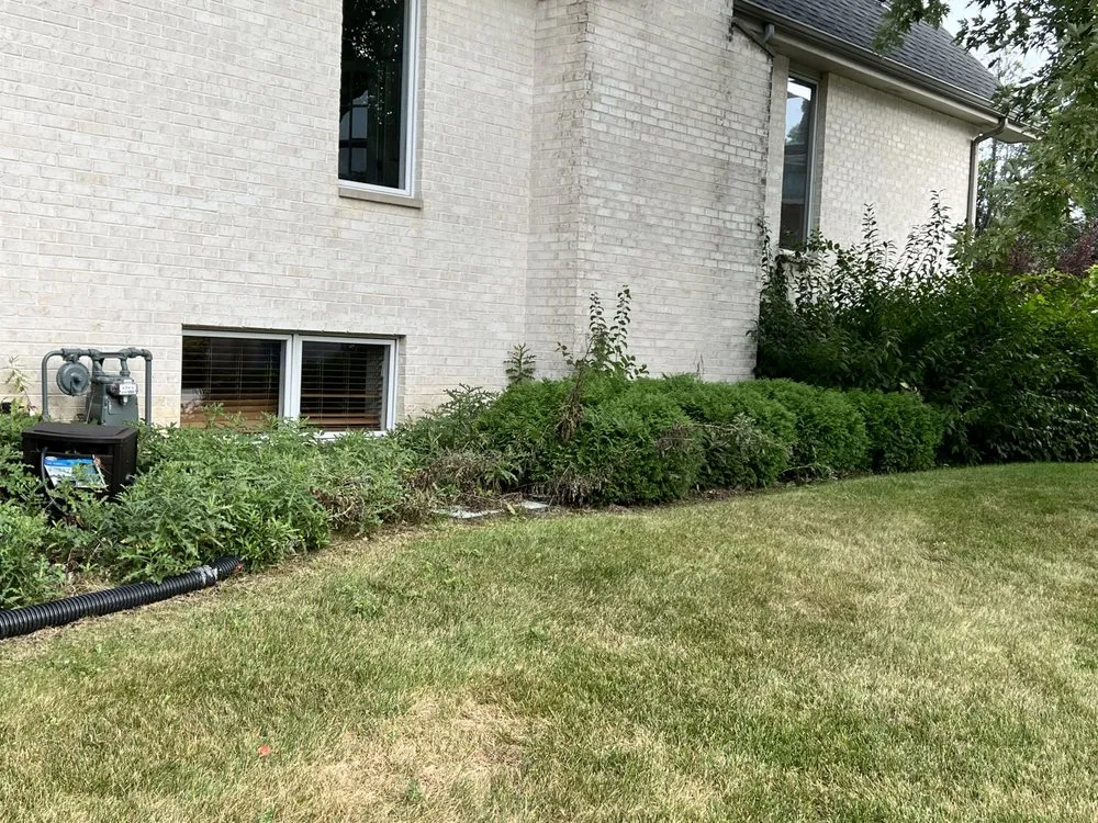 Affordable yard cleanup service near you in Monee, IL by All Pro Lawn and Landscape