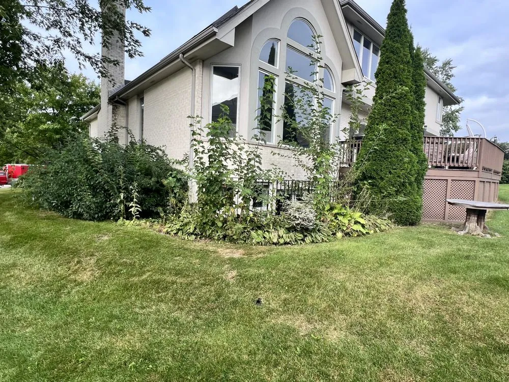 Reliable outdoor landscaping for homes across Monee, IL - All Pro Lawn and Landscape