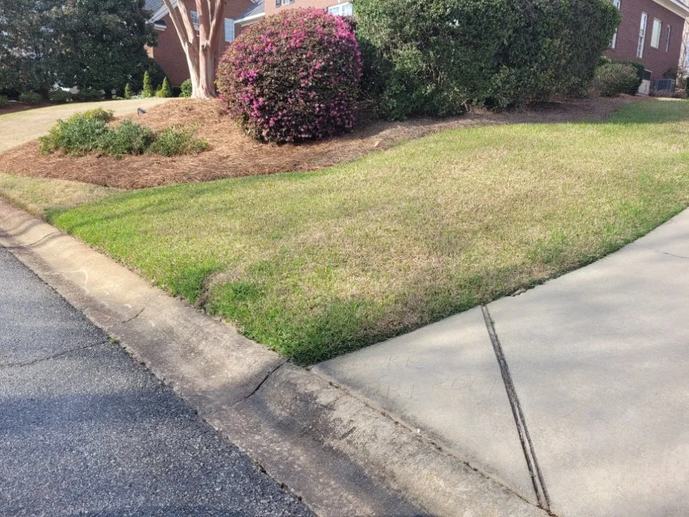 Affordable residential landscaping for outdoor upgrades across Columbia, SC - All Pro Lawn And Landscaping