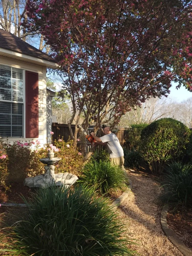 Local landscape design in Columbia, SC - All Pro Lawn And Landscaping