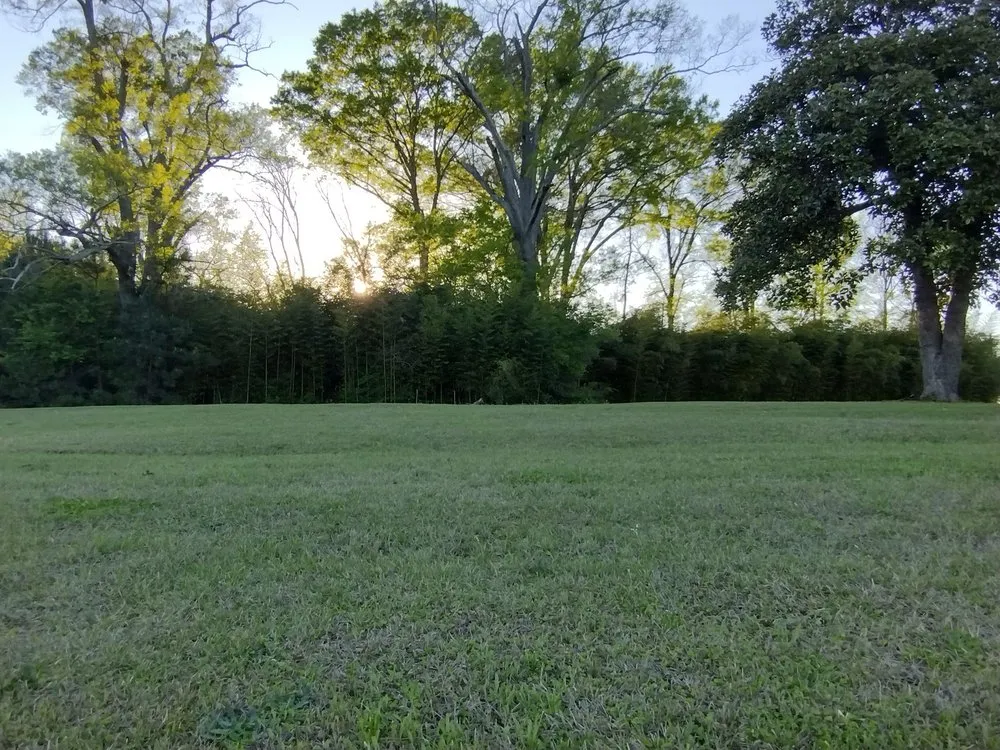 Affordable yard maintenance in Columbia, SC - All Pro Lawn And Landscaping