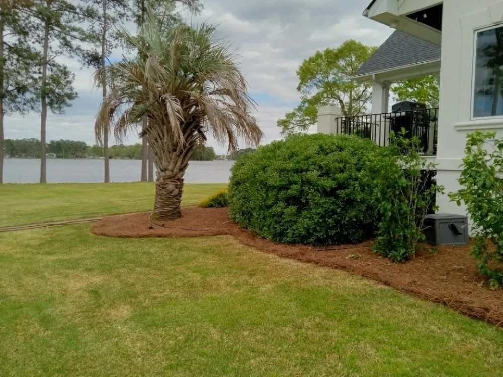 Professional lawn care service for beautiful yards across Columbia, SC - All Pro Lawn And Landscaping