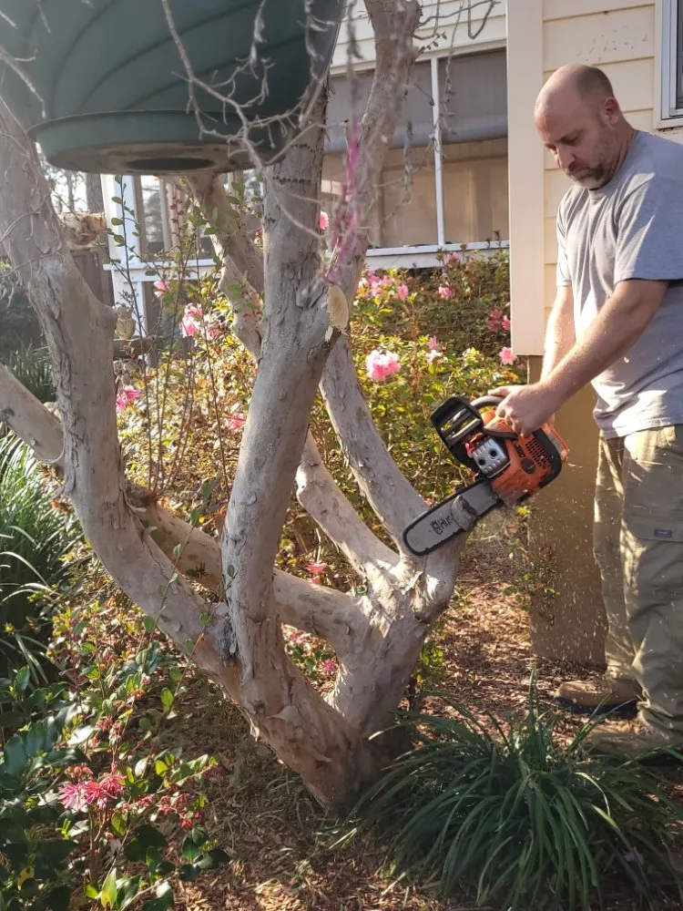 Reliable garden landscaping in Columbia, SC by All Pro Lawn And Landscaping