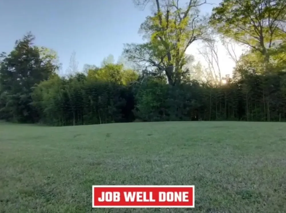 Local landscaping services experts serving Columbia, SC - All Pro Lawn And Landscaping