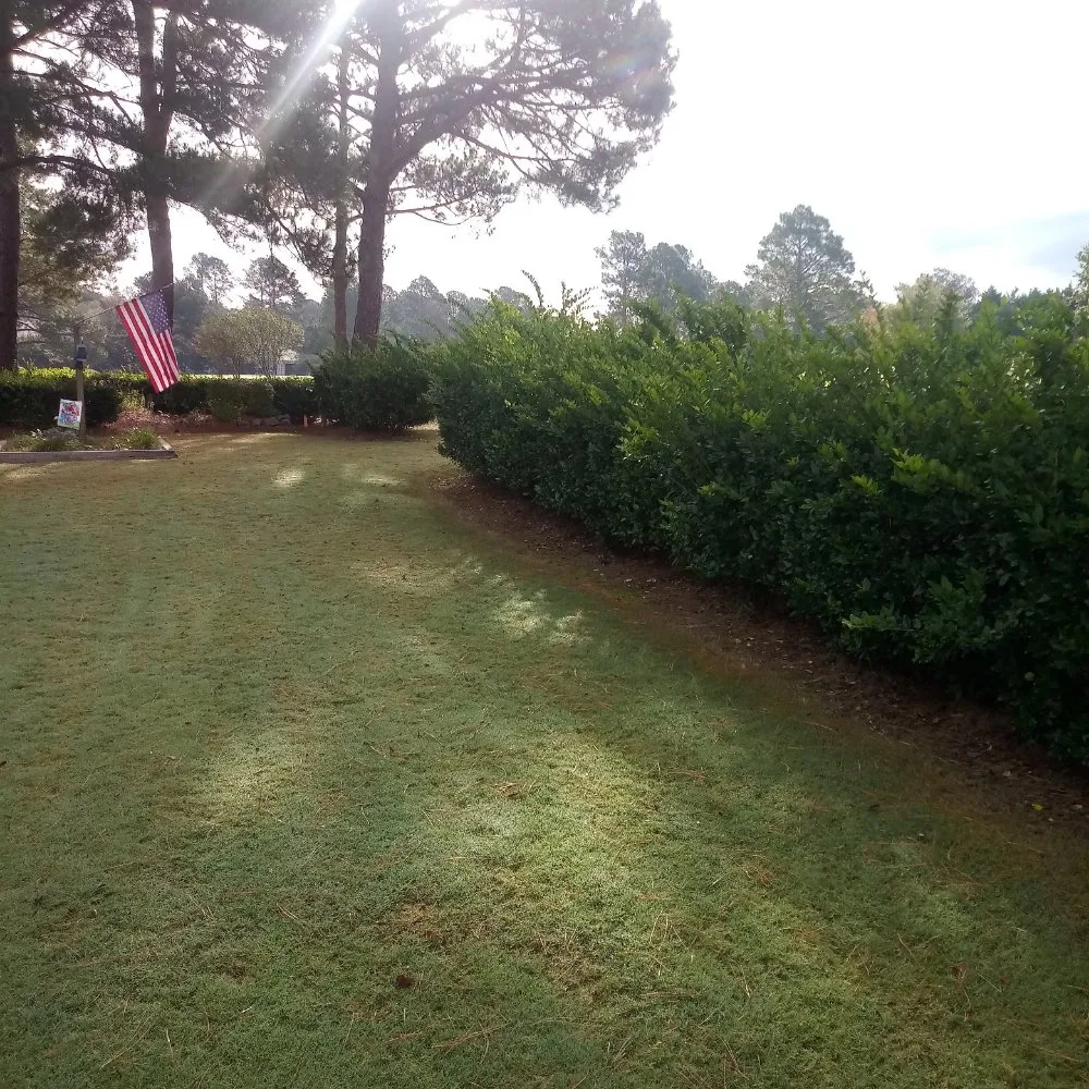 Professional landscaping services experts serving Stantonsburg, NC - All Pro Lawn and Landscaping