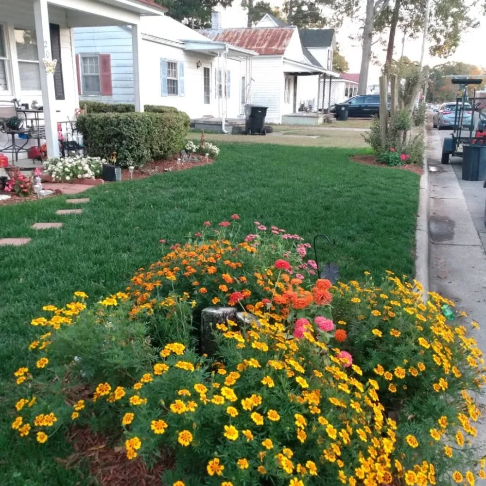 Affordable yard cleanup service in Stantonsburg, NC - All Pro Lawn and Landscaping