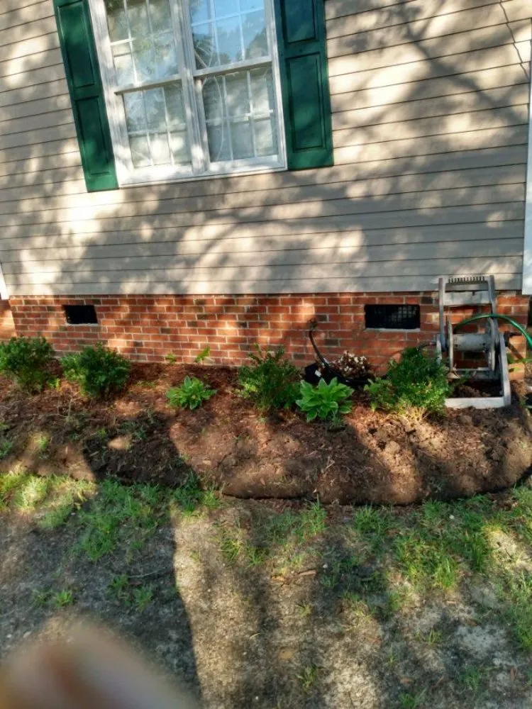 Expert yard cleanup service for year-round maintenance across Stantonsburg, NC - All Pro Lawn and Landscaping