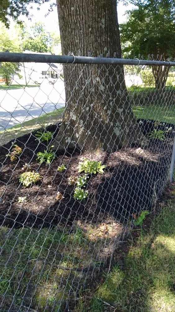 Professional garden landscaping for beautiful yards across Stantonsburg, NC - All Pro Lawn and Landscaping