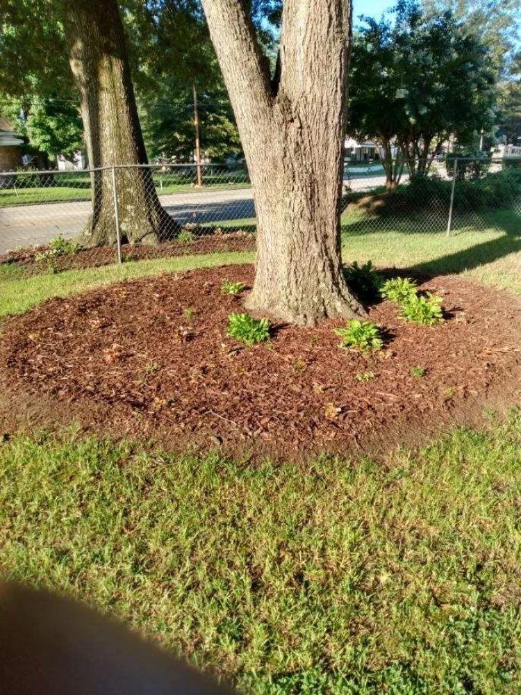 Affordable yard maintenance in Stantonsburg, NC by All Pro Lawn and Landscaping