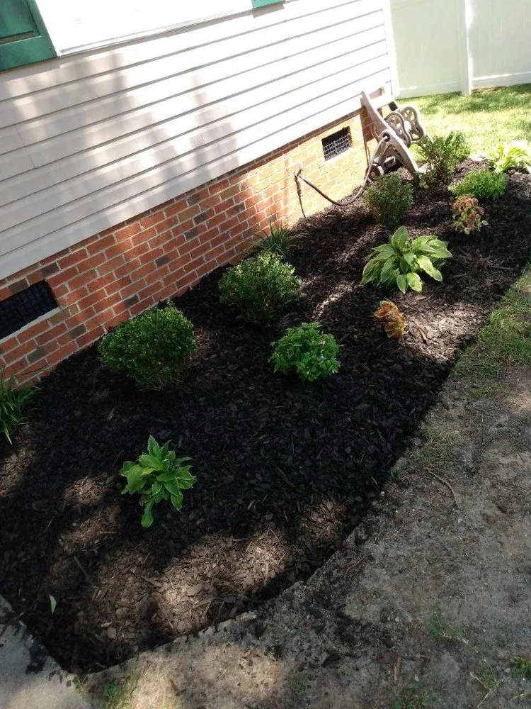 Affordable landscaping services experts serving Stantonsburg, NC - All Pro Lawn and Landscaping