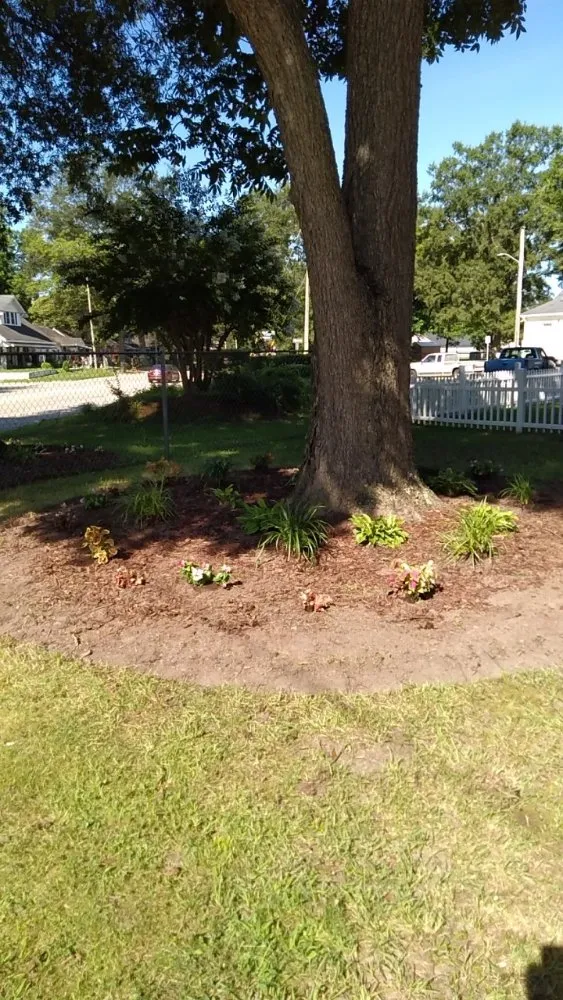 Reliable lawn care service for year-round maintenance in Stantonsburg, NC by All Pro Lawn and Landscaping