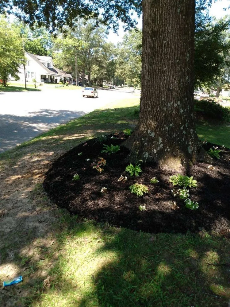 Custom outdoor landscaping in Stantonsburg, NC by All Pro Lawn and Landscaping