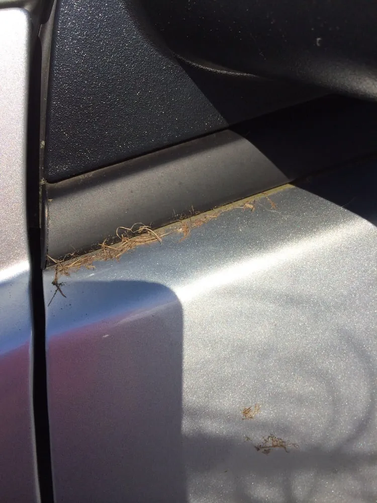 Professional garden landscaping for homes across Massapequa, NY - All Pro Lawn Care & Design