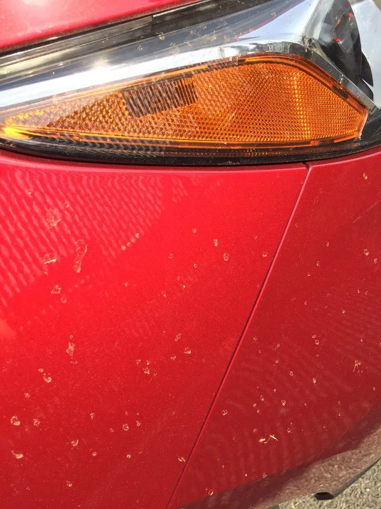 Reliable outdoor landscaping for beautiful yards across Massapequa, NY - All Pro Lawn Care & Design