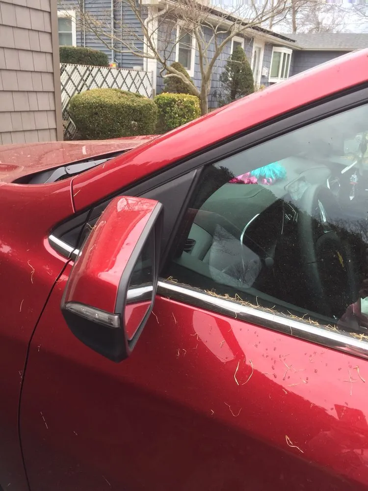 Professional landscape design in Massapequa, NY - All Pro Lawn Care & Design