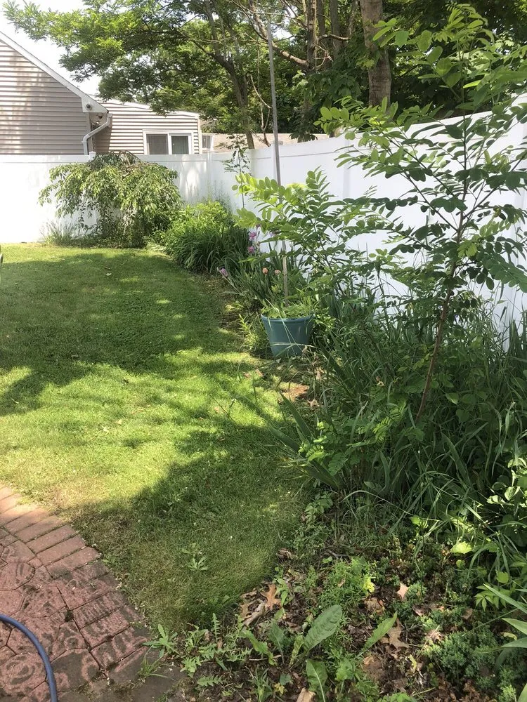 Affordable yard maintenance in Massapequa, NY by All Pro Lawn Care & Design